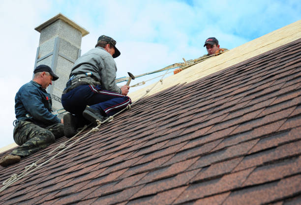 Best Shingle Roofing Installation  in Ensley, FL